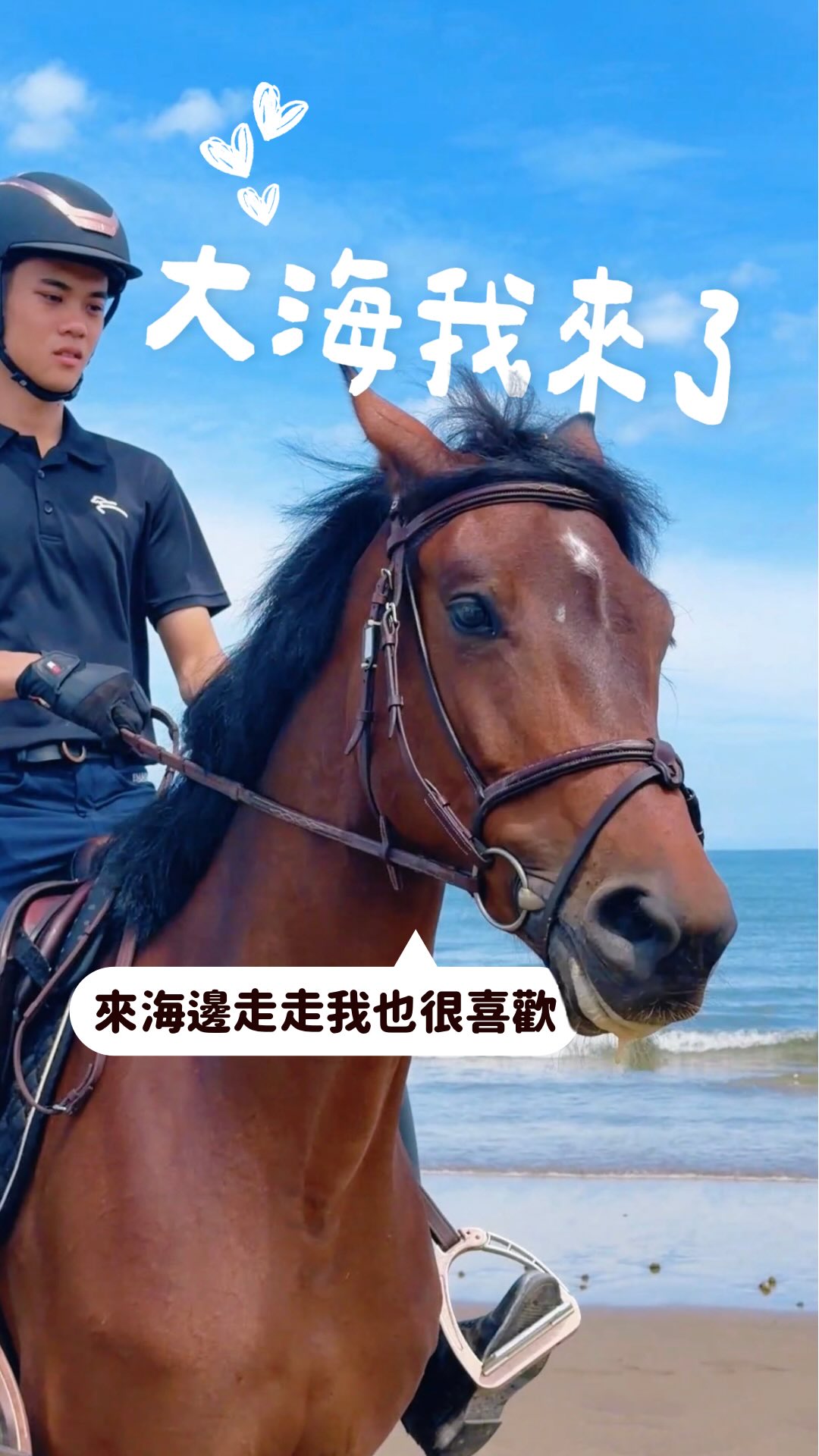 教練牽著馬匹走在淡水海邊