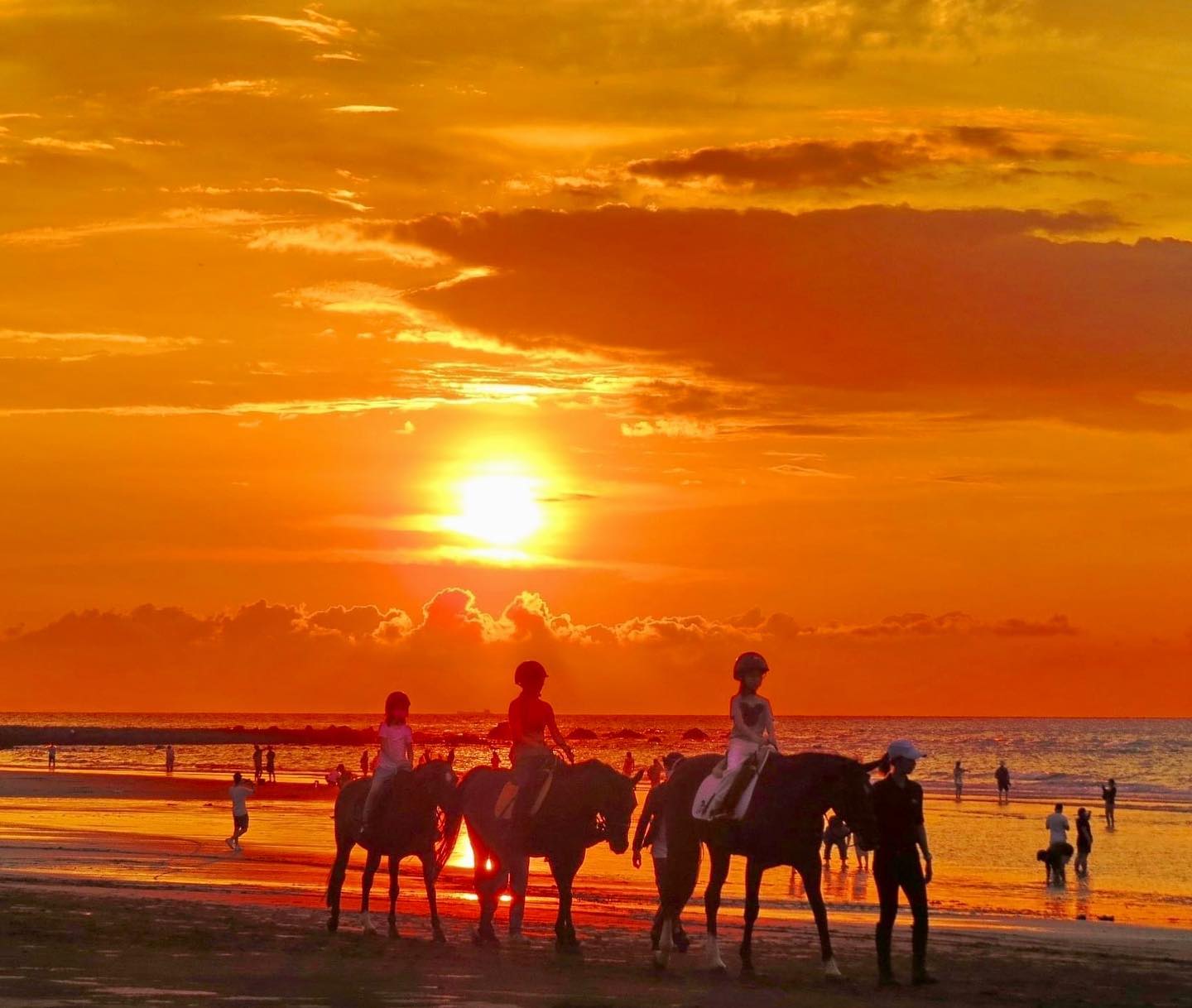 夕陽下的騎乘者與馬匹停留在淡水海岸